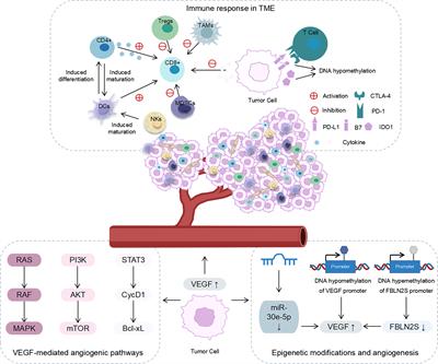 Regulation of epigenetic modifications in the head and neck tumour microenvironment